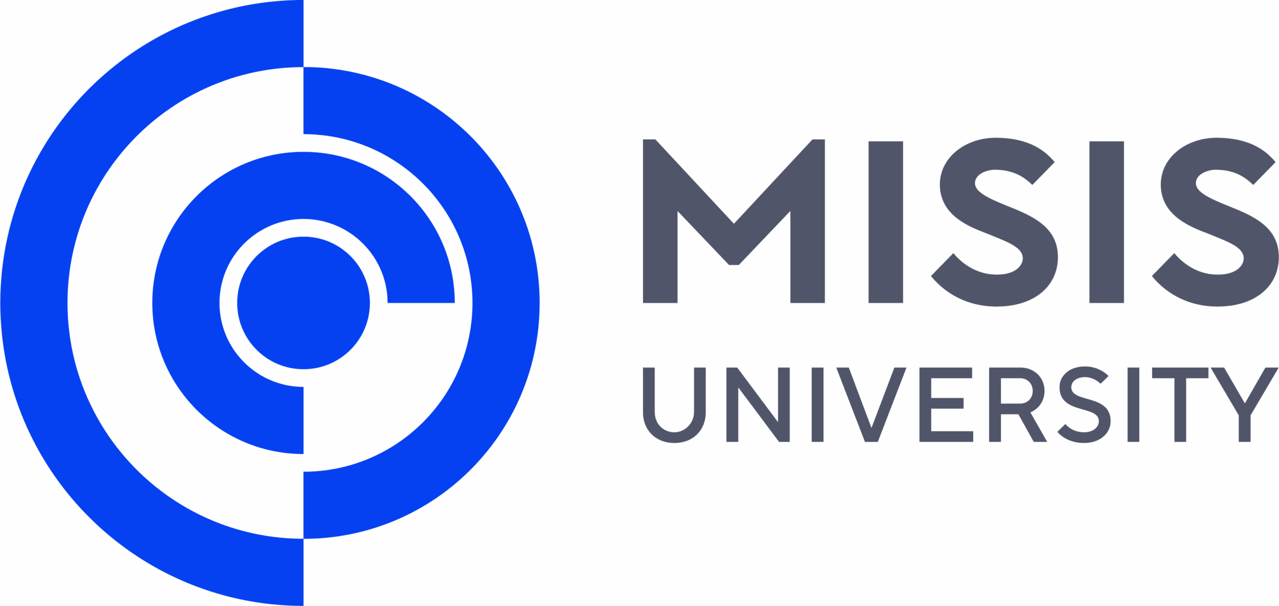 MISIS University